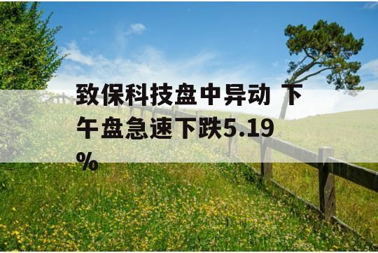 致保科技盘中异动 下午盘急速下跌5.19%